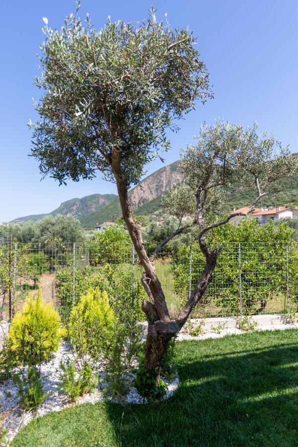 Apartament Two Olive Trees Psathópirgos Zewnętrze zdjęcie